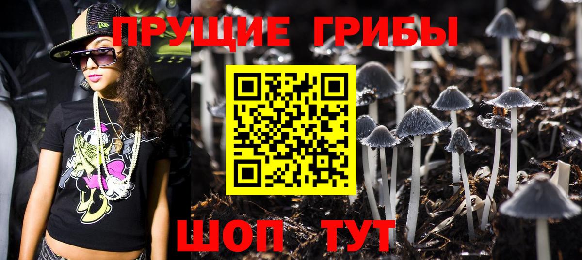 купить наркотик  Псилоцибиновые грибы Psilocybine cubensis  Вход с VPN  Псилоцибиновые грибы Psilocybe  Нижний Тагил 